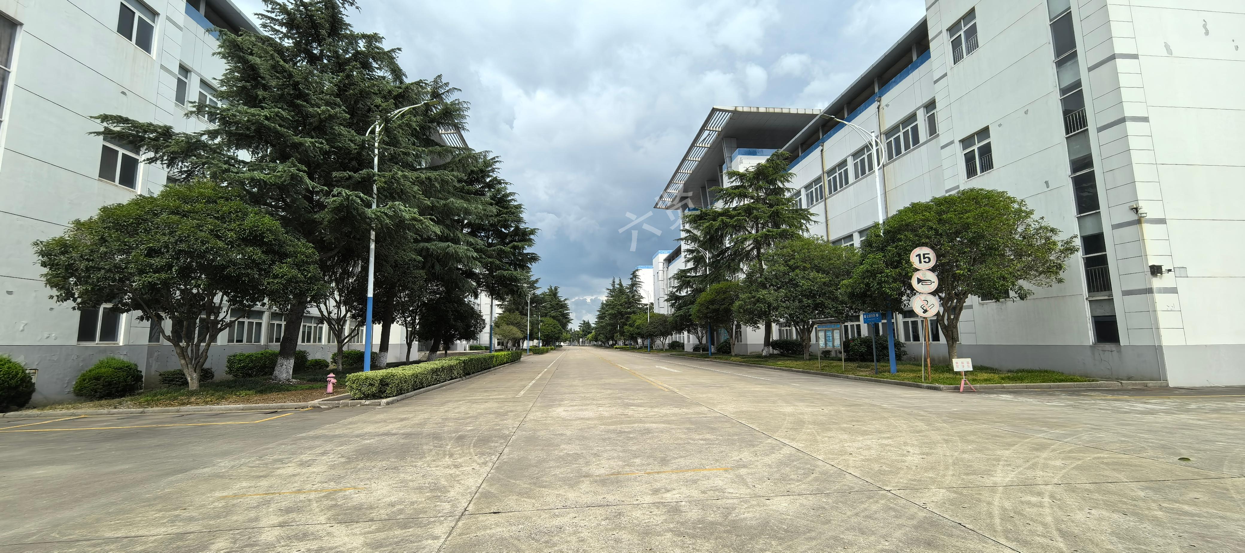 六贤-金鼎路 湟里金鼎路单层带行车厂房出租，可分租