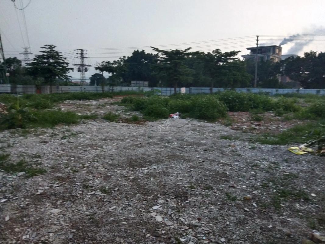 东港镇15亩空地出租