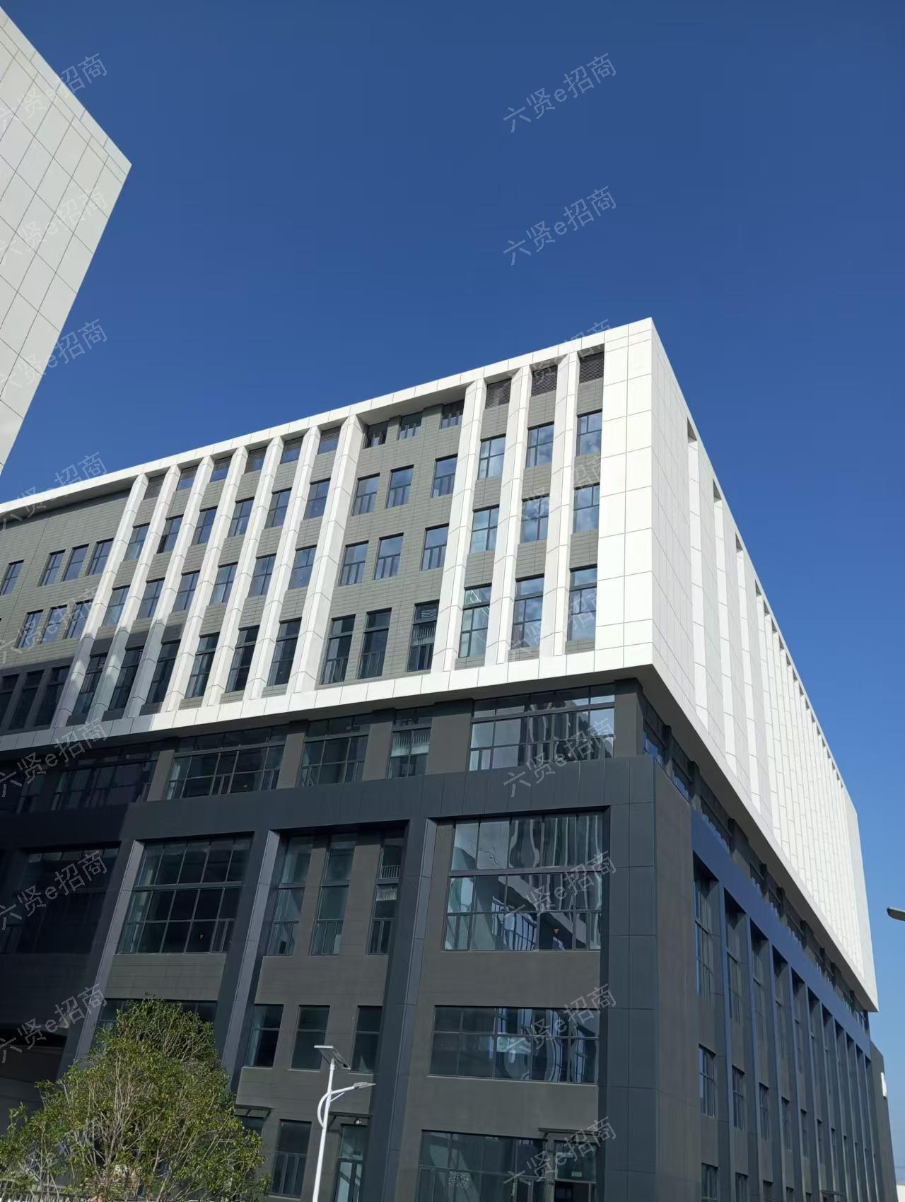 新区核心研发楼出租-马运路
