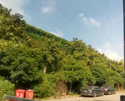 太仓市凤冈路99号空地1.5亩招租中，支持个性化用途开发