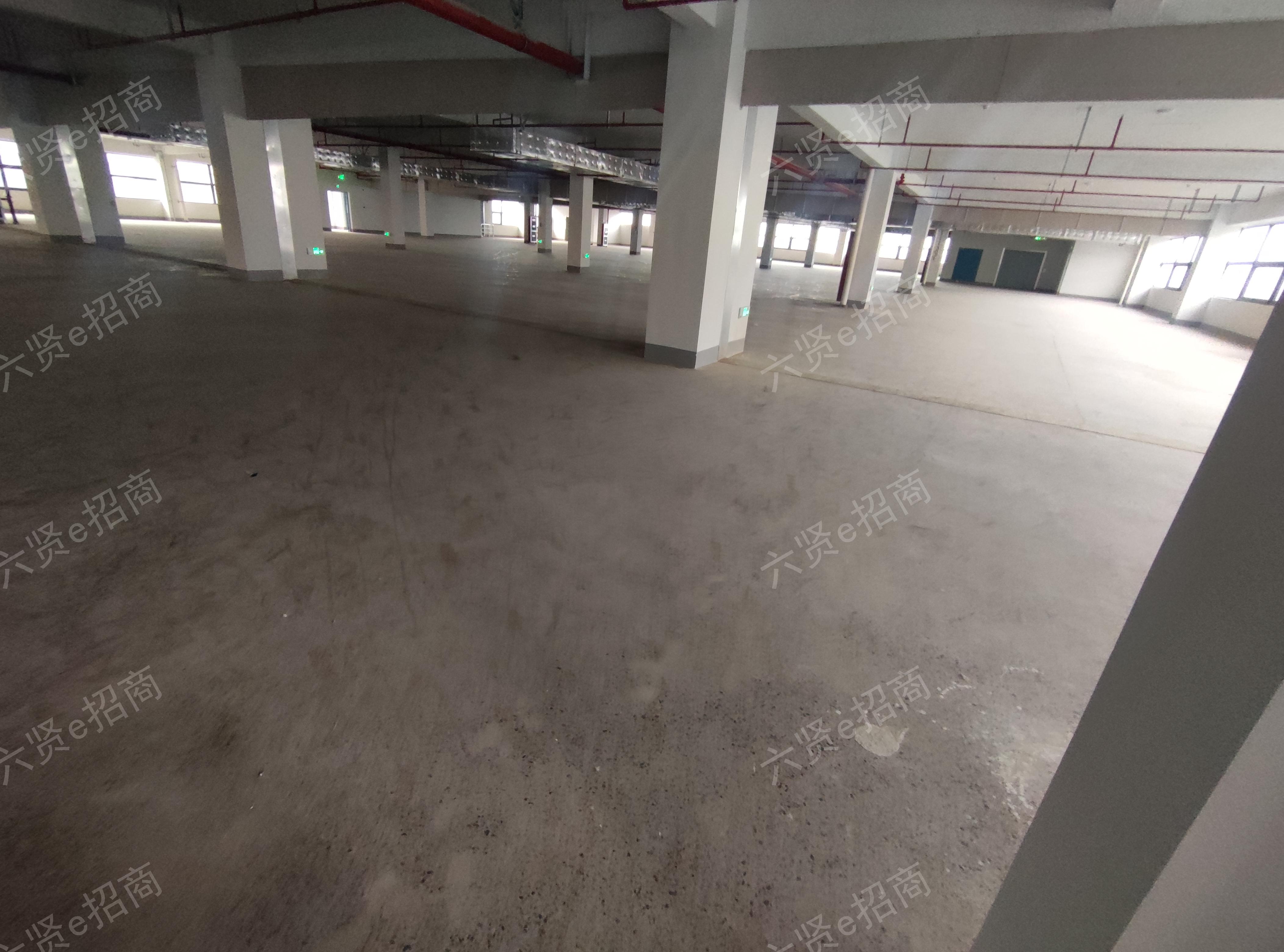郭巷善兴路268号，全新厂房，价格便宜