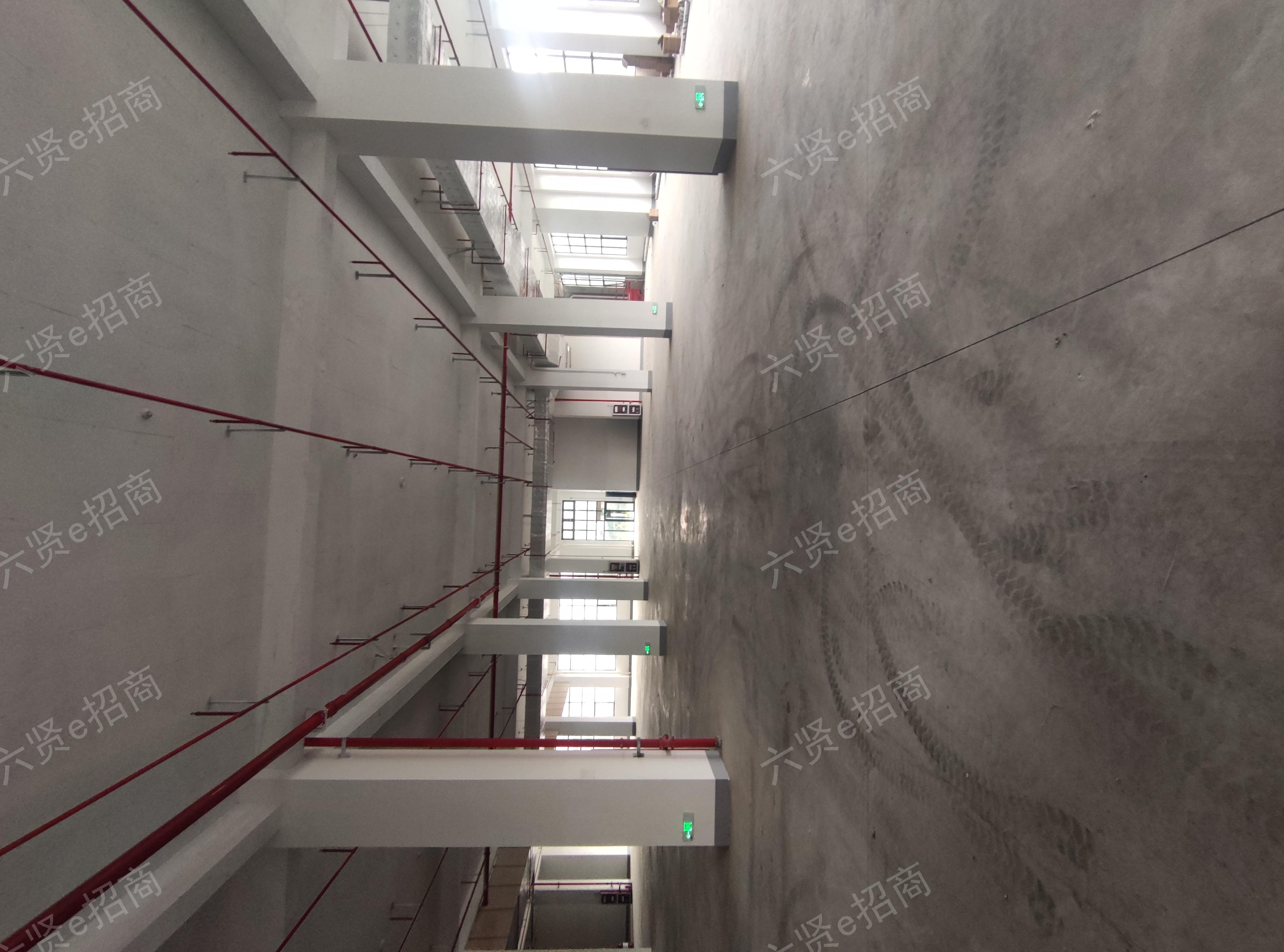 郭巷善兴路268号，全新厂房，价格便宜