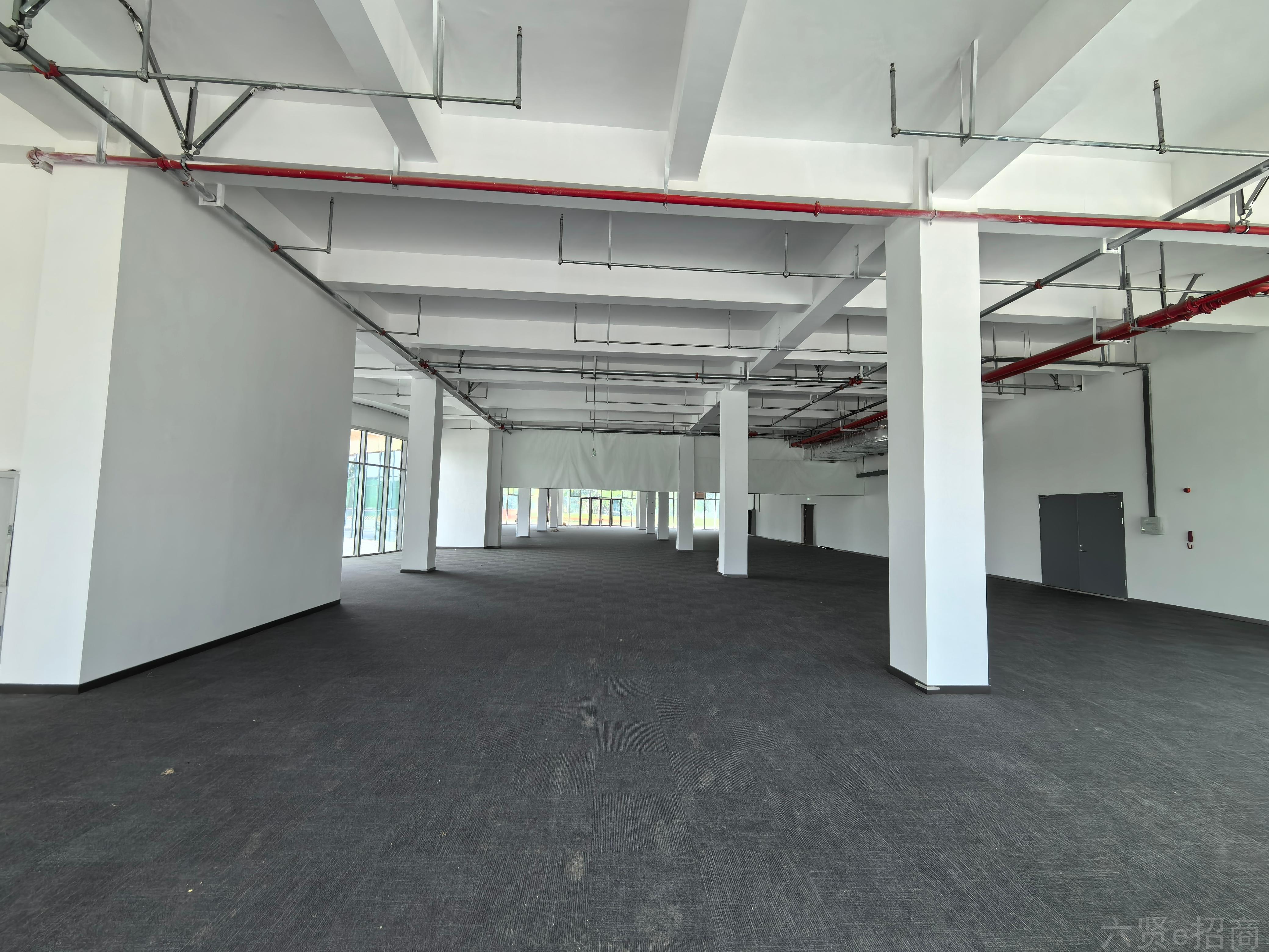 公园独栋别墅办公双凤软件园28元,地铁口机场高铁旁